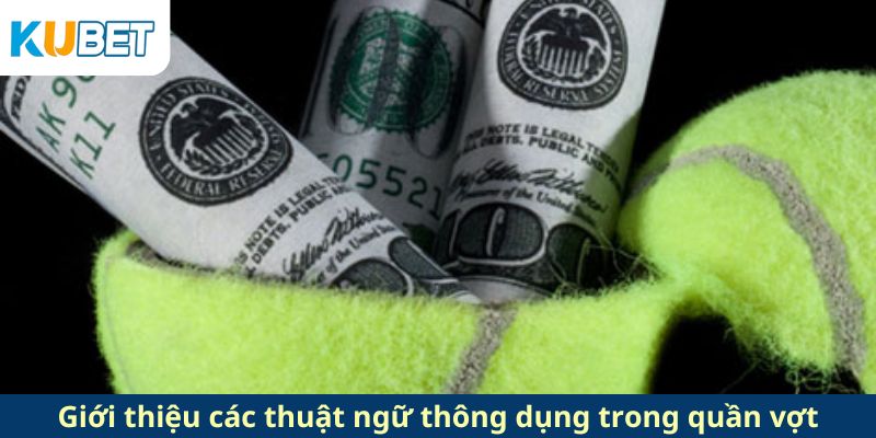 Giới thiệu các thuật ngữ thông dụng trong quần vợt