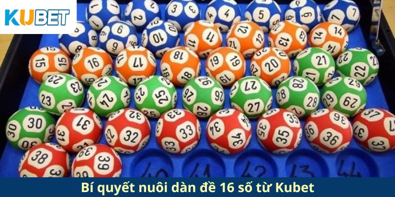 Bí quyết nuôi dàn đề 16 số từ Kubet